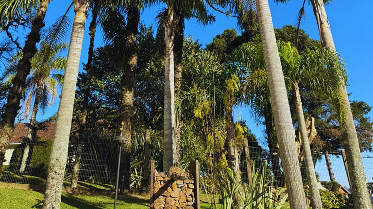 Apartamento no Centro de Gramado